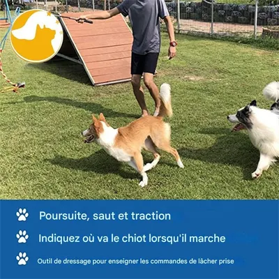 IntiMeg Canne à morsure pour chien