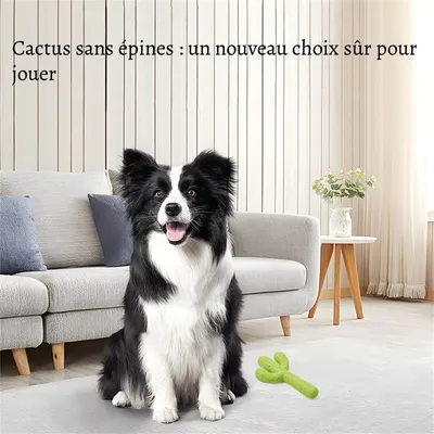 Petopia Jouet en forme de cactus pour chien
