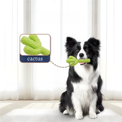 Petopia Jouet en forme de cactus pour chien