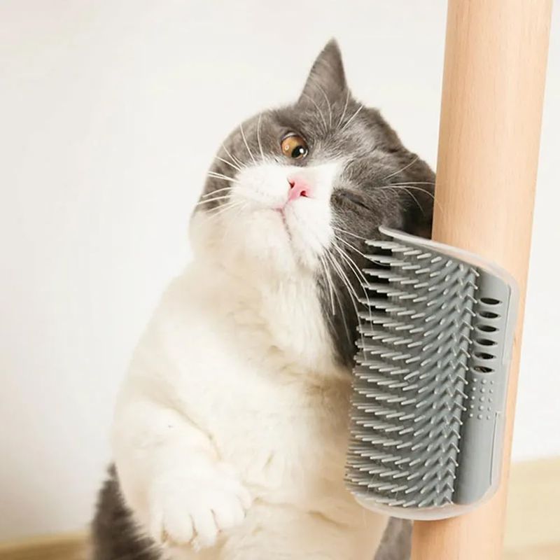 IntiMeg Planche à frotter pour chat