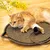 UAMLY Tapis à gratter pour chat, avec balle jouet