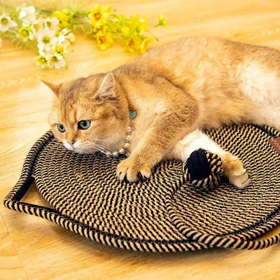 UAMLY Tapis à gratter pour chat, avec balle jouet