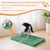IntiMeg Griffoir pour chat avec motif terrain de football