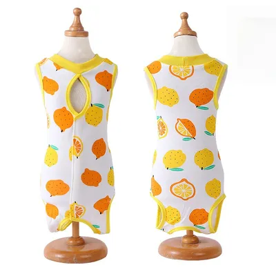 Petopia Chemise de sevrage pour chatte d'été Petopia Chemise de sevrage pour chatte d'été