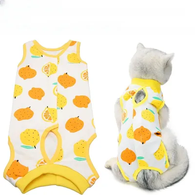Petopia Chemise de sevrage pour chatte d'été Petopia Chemise de sevrage pour chatte d'été