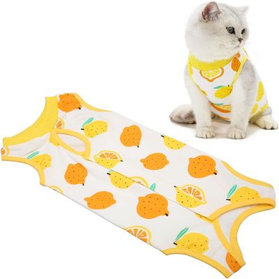 Petopia Chemise de sevrage pour chatte d'été