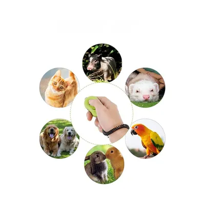 Petopia Appareil d'entraînement sonore pour chien