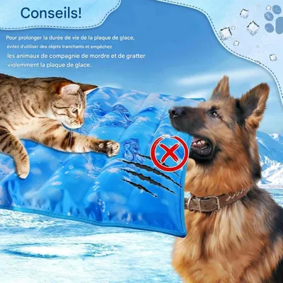 ZenPets Cool Paws Tapis Rafraîchissant Pour Chiens Chats Et Lapins