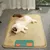 ZenPets Cool Paws Tapis Rafraîchissant Pour Chiens Chats Et Lapins