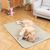 ZenPets Cool Paws Tapis Rafraîchissant Pour Chiens Chats Et Lapins