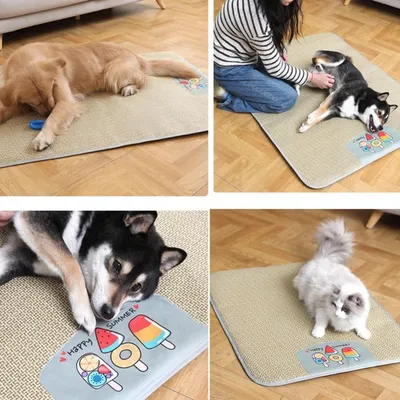 ZenPets Cool Paws Tapis Rafraîchissant Pour Chiens Chats Et Lapins