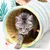 IntiMeg Tunnel jouet en daim pour chat et petits animaux