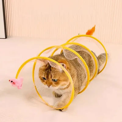 FurryFusion Tunnel à ressort en S pour chat