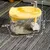 FurryFusion Fontaine à eau automatique pour chats et chiens 1,5 L