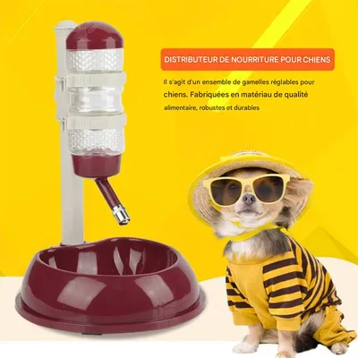 IntiMeg Distributeur d'eau et de nourriture pour chien et chat