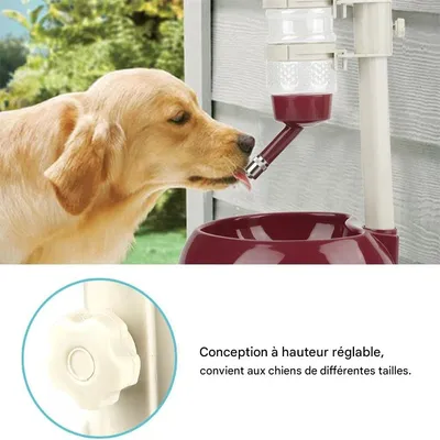 IntiMeg Distributeur d'eau et de nourriture pour chien et chat