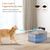 IntiMeg Fontaine à eau sans fil pour chat