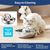 UAMLY Fontaine pour chat en acier inoxydable