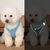 FurryFusion Harnais réglable pour chat