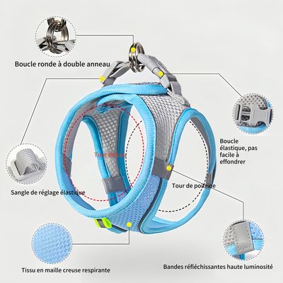 FurryFusion Arnés ajustable para gatos