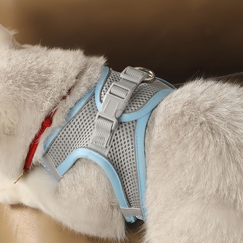FurryFusion Harnais réglable pour chat