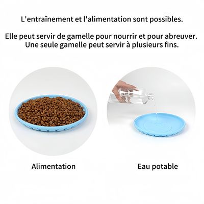 FurryFusion Frisbee TPR double usage pour chien