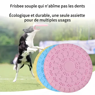 FurryFusion Frisbee TPR double usage pour chien