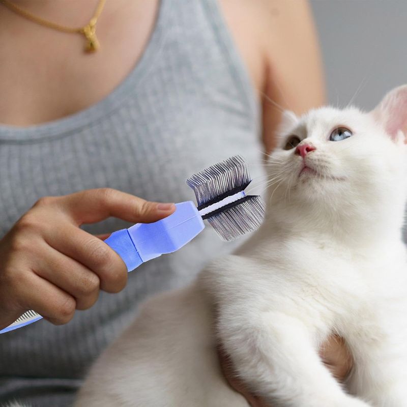 UAMLY Brosse de toilettage pour chien, brosse de massage