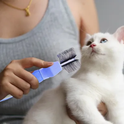 UAMLY Brosse de toilettage pour chien, brosse de massage