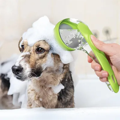 Petopia Brosses de bain en silicone pour chiens et chats