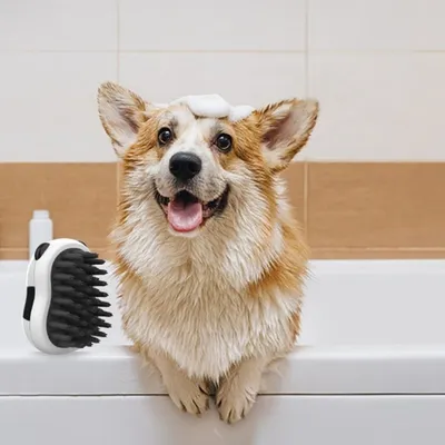 Petopia Brosse de bain multi - fonctionnelle pour chien et chat