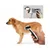 Petopia Brosse de bain multi - fonctionnelle pour chien et chat Petopia Brosse de bain multi - fonctionnelle pour chien et chat