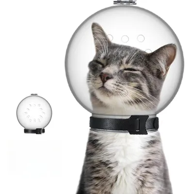 IntiMeg Muselière pour chat