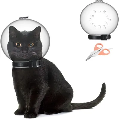 IntiMeg Muselière pour chat