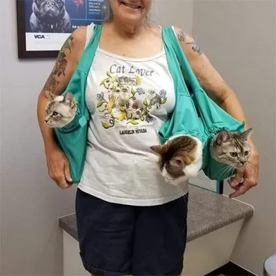 IntiMeg Sac de transport pour chat