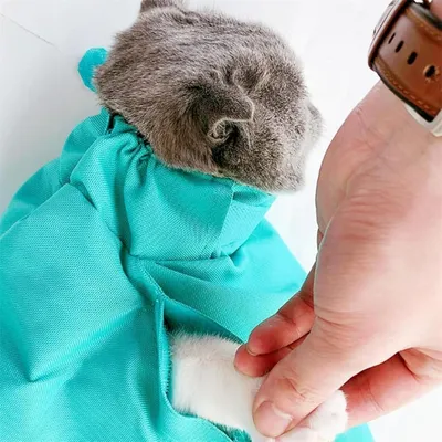 IntiMeg Sac de transport pour chat