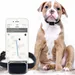 IntiMeg Collier GPS Tracker pour chien