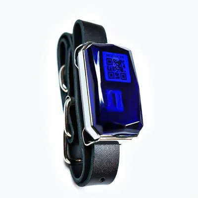 IntiMeg Collier GPS Tracker pour chien