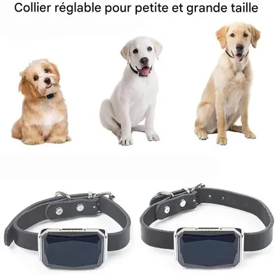 IntiMeg Collier GPS Tracker pour chien