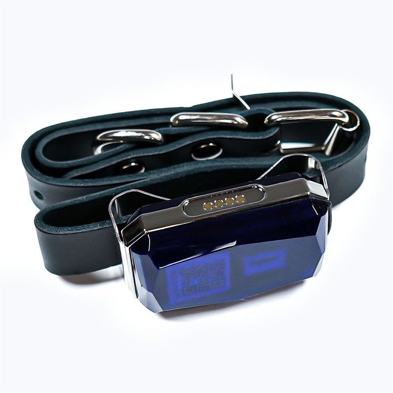 IntiMeg Collier GPS Tracker pour chien