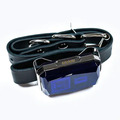 IntiMeg Collier GPS Tracker pour chien