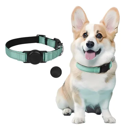 IntiMeg Collier GPS pour chien