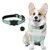 IntiMeg Collier GPS pour chien