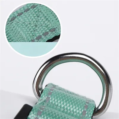 IntiMeg Collier GPS pour chien