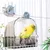 FurryFusion Bain d'oiseaux polyvalent FurryFusion Bain d'oiseaux polyvalent
