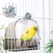 FurryFusion Bain d'oiseaux polyvalent