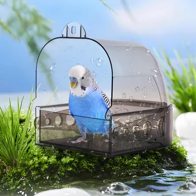 FurryFusion Bain d'oiseaux polyvalent