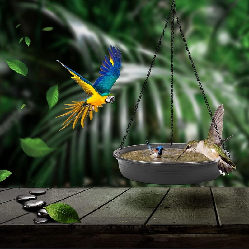 UAMLY Plateau de bain d'oiseaux suspendu, mangeoire à oiseaux