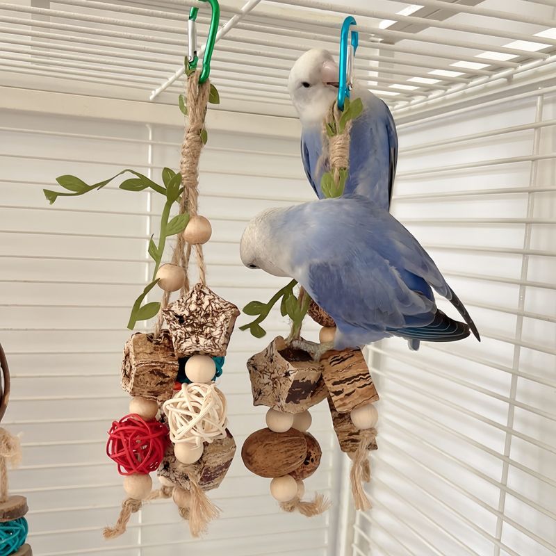 FurryFusion Jouet à mâcher pour petits perroquets