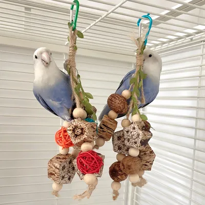 FurryFusion Juguete masticable para loros pequeños